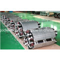 China Lieferant Guter Preis 160kw / 200 kVA Brushless Lichtmaschine (JDG274H)